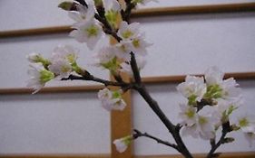 Wakaba Ryokan / Vacation Stay 29376